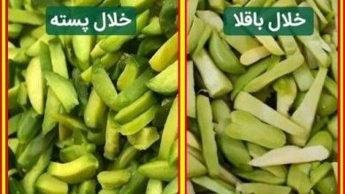 خلال پسته تقلبی