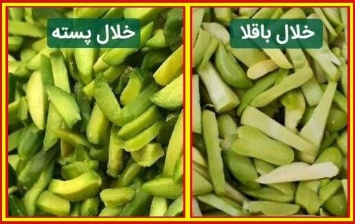 خلال پسته تقلبی