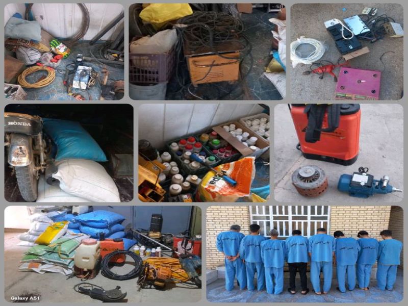 دستگیری ۱۲ سارق و مالخر باغات داراب در عملیات ضربتی پلیس!