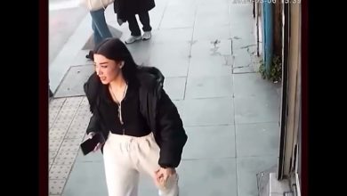 سرقتطلا