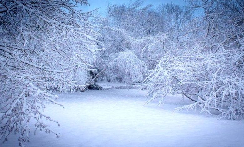 سرمای هوا