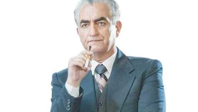 شهریار فخاری در نق شاه