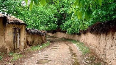عکس شیراز