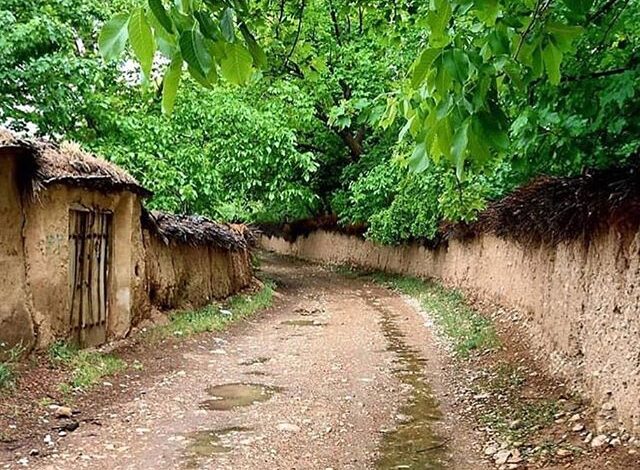 عکس شیراز