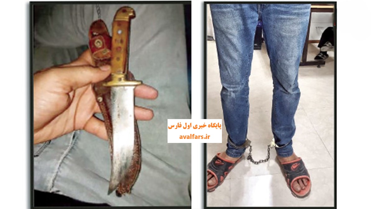 اعتراف هولناک مستأجر به قتل صاحبخانه در خیابان شاهنامه