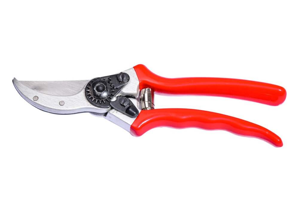 (ویدئو) روش آسان ساخت ابزاری برای هرس شاخه بالایی درختان