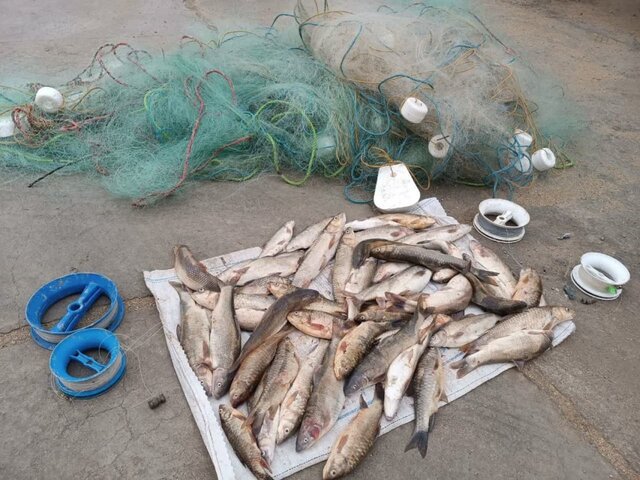 صیاد غیرمجاز در تور قانون؛ کشف ادوات ماهیگیری در سد سلمان فارسی!