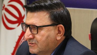 مجید احمدی