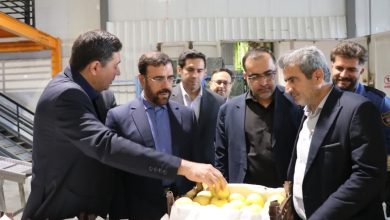 میوه شب عید در فارس 1