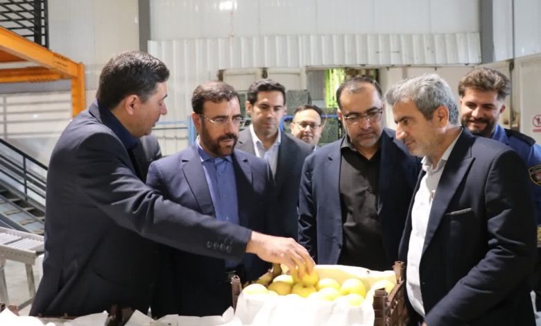 میوه شب عید در فارس 1