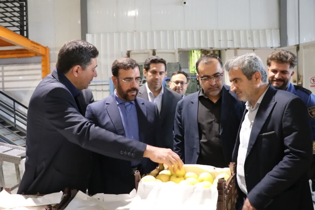 رئیس جهاد کشاورزی به استاندار گفت: ذخایر میوه شب عید استان فارس کافی است؛ توزیع ادامه دارد