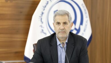 بصیر هاشمی