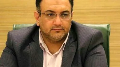 سعید نظری