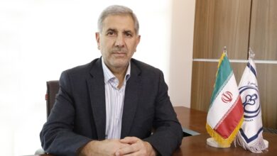 سید بصیر هاشمی
