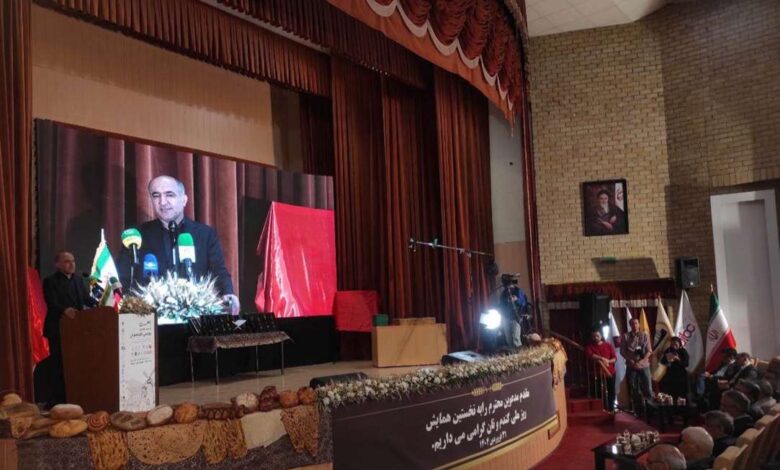 سید سعید راد معاون وزیر جهاد کشاورزی