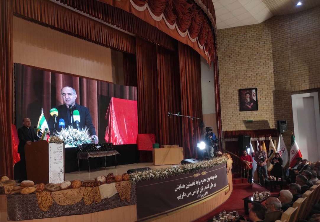 مدیرعامل بازرگانی دولتی ایران خبر داد: آمادگی کامل مراکز خرید تضمینی گندم در سال ۱۴۰۴