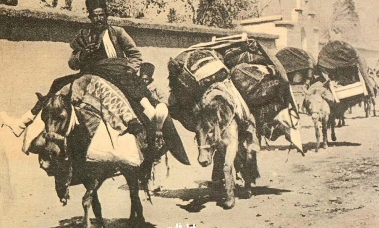 شیراز قدیم 1