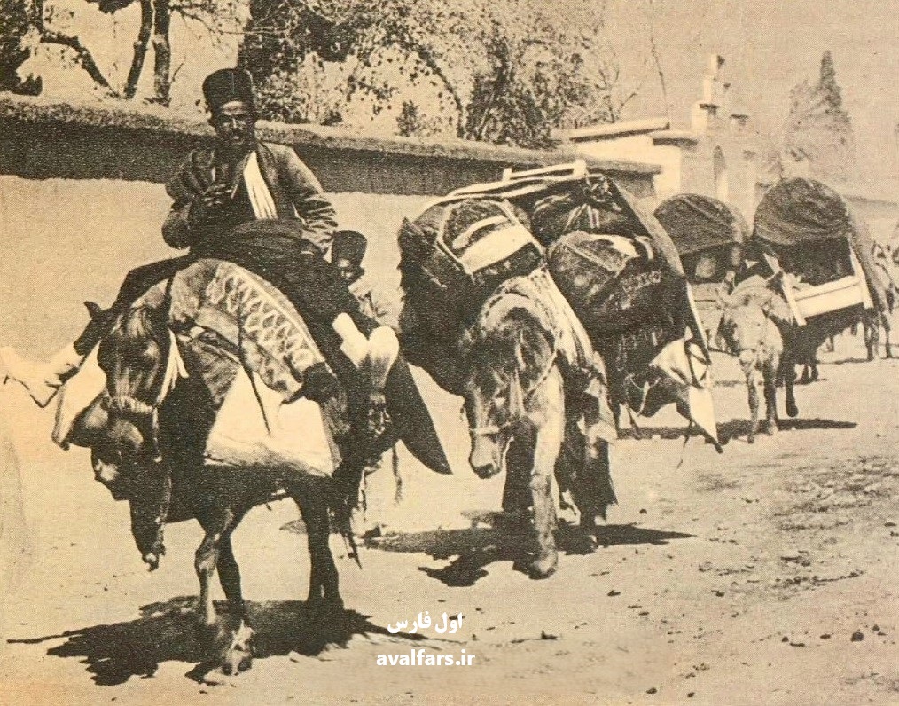 عکس‌های دیده‌ نشده خروج کاروان از شیراز دوران مظفرالدین شاه