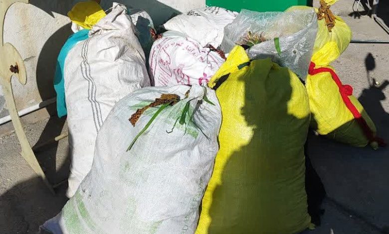 نی ریز