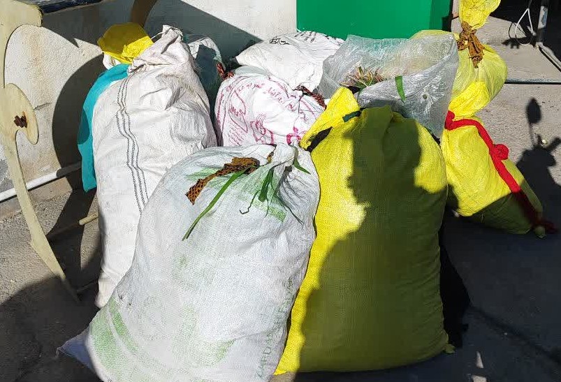 توقیف پژو پارس و وانت نیسان در نی‌ریز در حال حمل گیاه بن سرخ