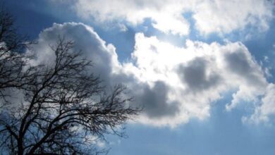 هشدار هواشناسی سطح زرد برای استان فارس صادر شد 12 هشدار هواشناسی فارس