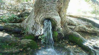 چشمه زلال