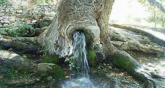 چشمه زلال