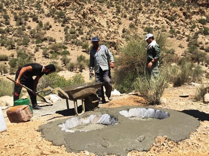 وقتی طبیعت کم می‌آورد: چگونه می‌توانیم به داد حیوانات وحشی در تابستان برسیم؟