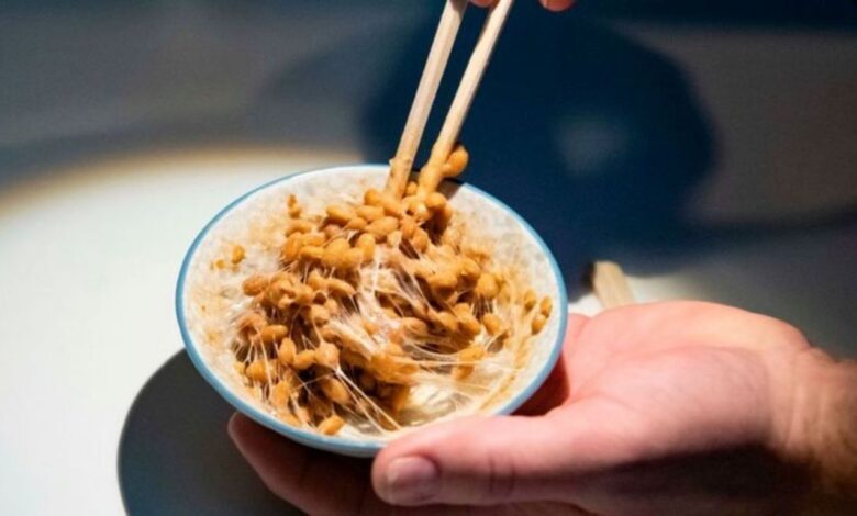 طرزتهیه ناتو ژاپنی