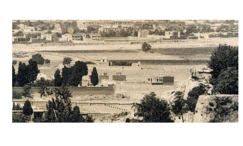 old shiraz 1