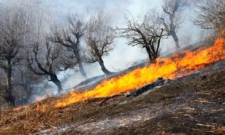 آتش سوزی