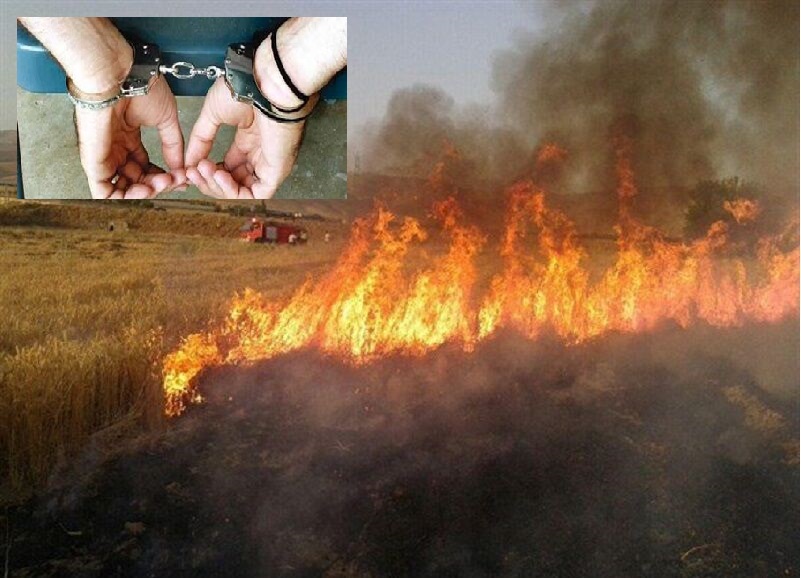 بازداشت ۶ عامل آتش‌سوزی های اخیر در مراتع و منابع طبیعی فارس