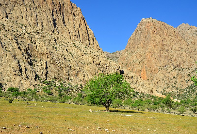 مرگ مرد ۴۰ ساله بر اثر سقوط از کوه در تنگ خشک سیوند