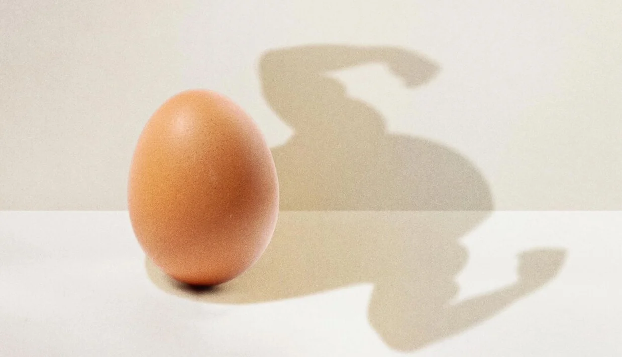 از تخم‌مرغ نترسید: تقویت عضلات با این بمب پروتئینی؛ روزانه چند تخم‌مرغ بخوریم؟