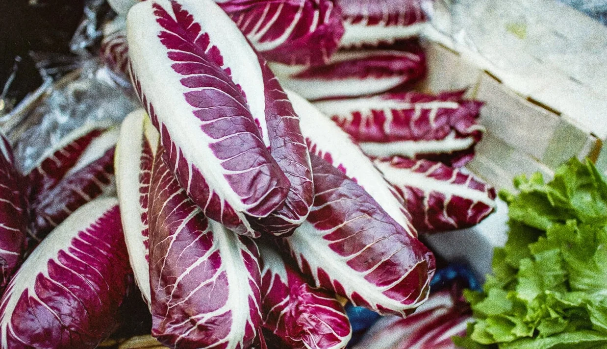 ترکیبات تلخ باعث بهبود گوارش و کنترل قند خون می‌شوند