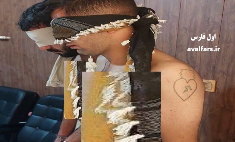 قتل آگاهی