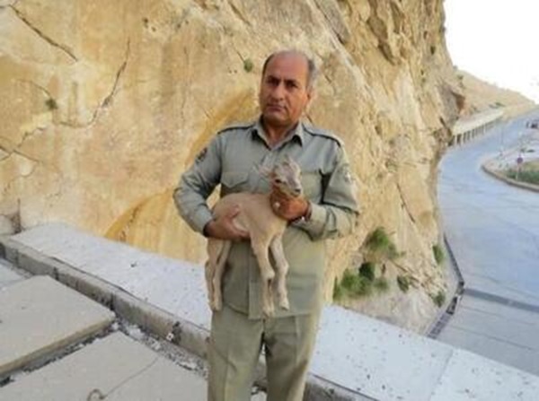 هدایت الله دیدبان