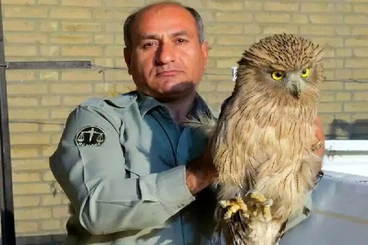 شهادت مظلومانه محیط‌بان دیده‌بان در خاییز با شلیک مستقیم شکارچیان، پایان ۱۵ سال پاسداری از طبیعت