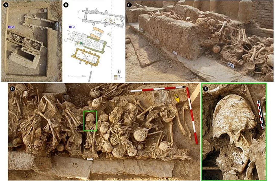 کشف بقایای باستانی دختری با قدمت ۶۲۰۰ سال در جنوب ایران