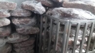 گوشت فاسد