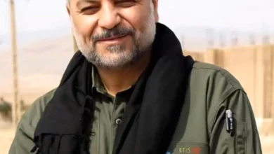 بهزادابراهیمی