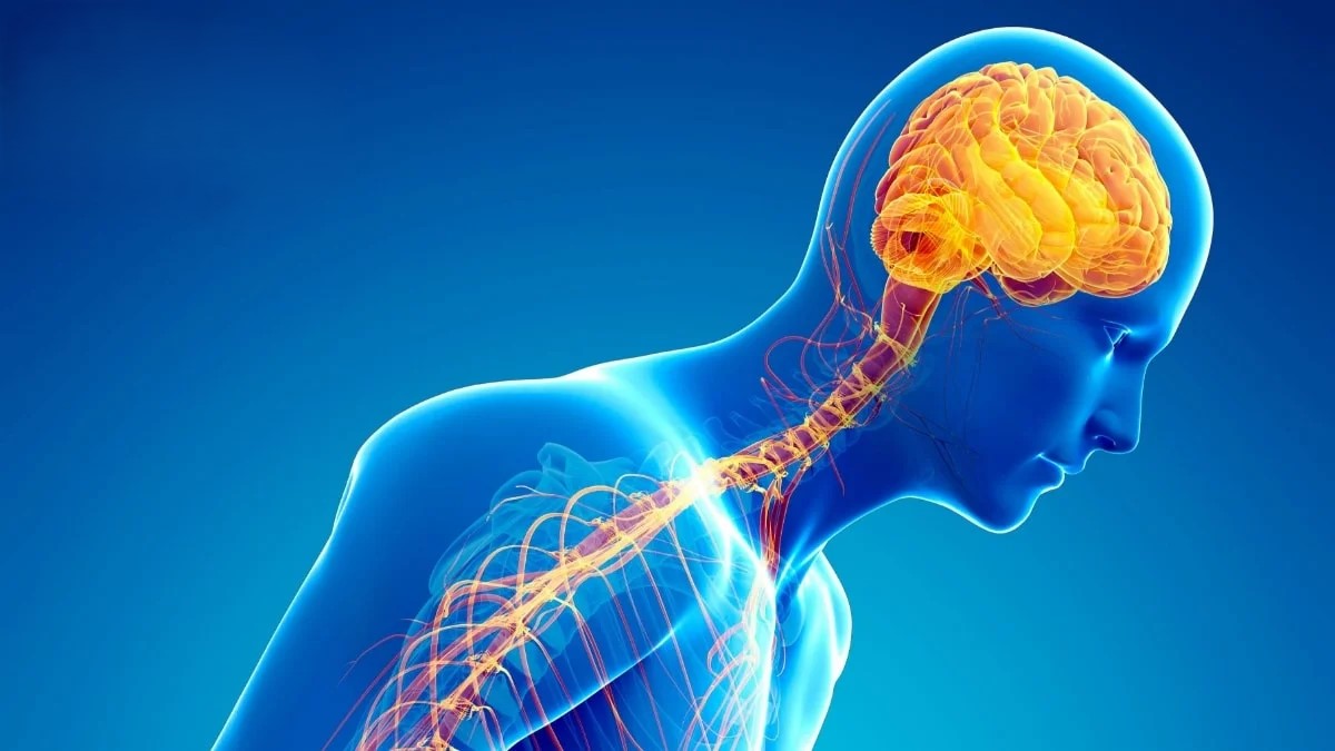 یک ویروس «بی‌ضرر» انسانی عامل بیماری پارکینسون