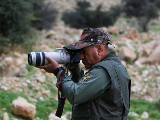 دیده بان