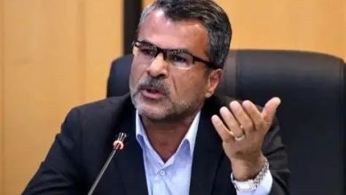 سید احمد احمدی زاده