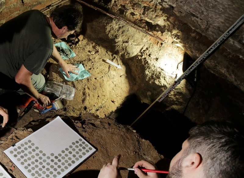 کشف گنجینه‌ای با ۱۰۰۰ سکه‌ نقره داخل یک جام سفالی