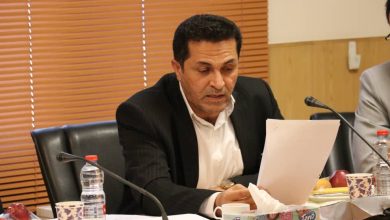 هشدار شرکت برق منطقهای درباره افزایش دما و قطع برق در فارس و بوشهر 1 یدالل حقیقی