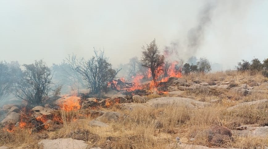 آقای استاندار فارس ، طبیعت اقلید هچنان می‌سوزد مدیران مسئول استان کجایند؟