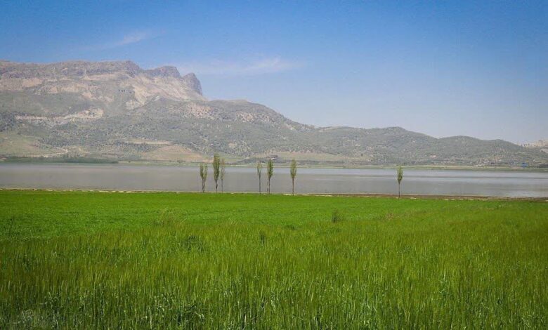 تالاب ارژن سند تکبرگ گرفت؛ دادگستری فارس: جلوگیری از تصرف هدف اصلی است 1 ارژن