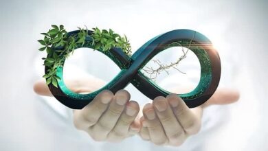اهدای عضو