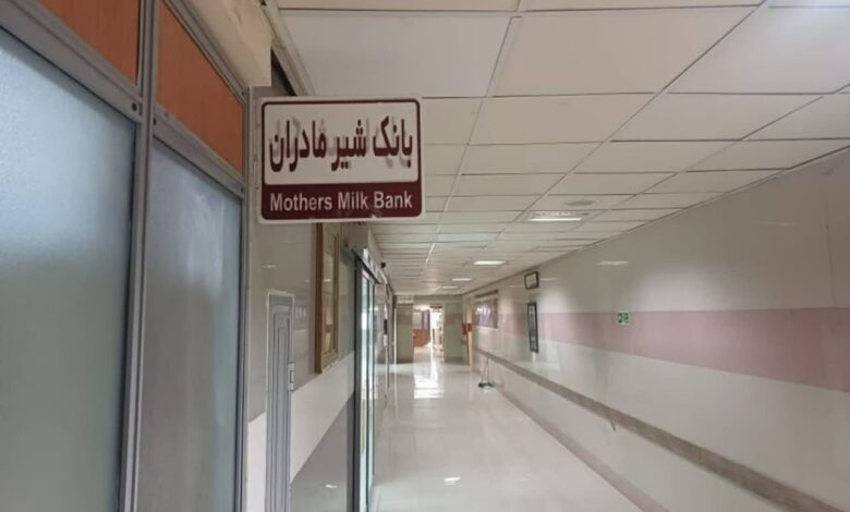 رکوردشکنی بانک شیر شیراز؛ اهدای ۵۰۳ لیتر شیر در یک سال و نجات صدها نوزاد نارس 1 بانک شیر